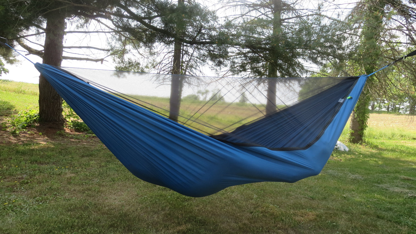 Moroccan Blue Wingspan