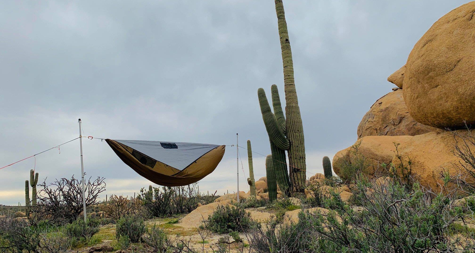 Dream Hammock LLC