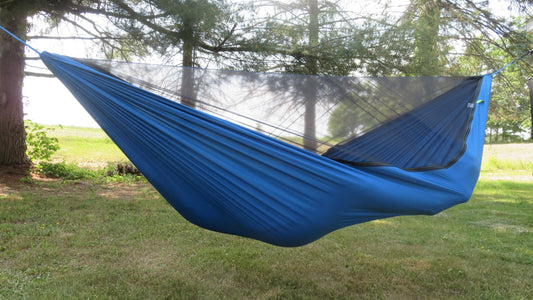 Moroccan Blue Wingspan