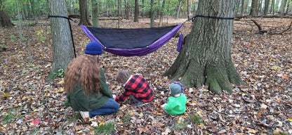 Chickadee Ready-to-Ship