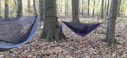 Chickadee Ready-to-Ship