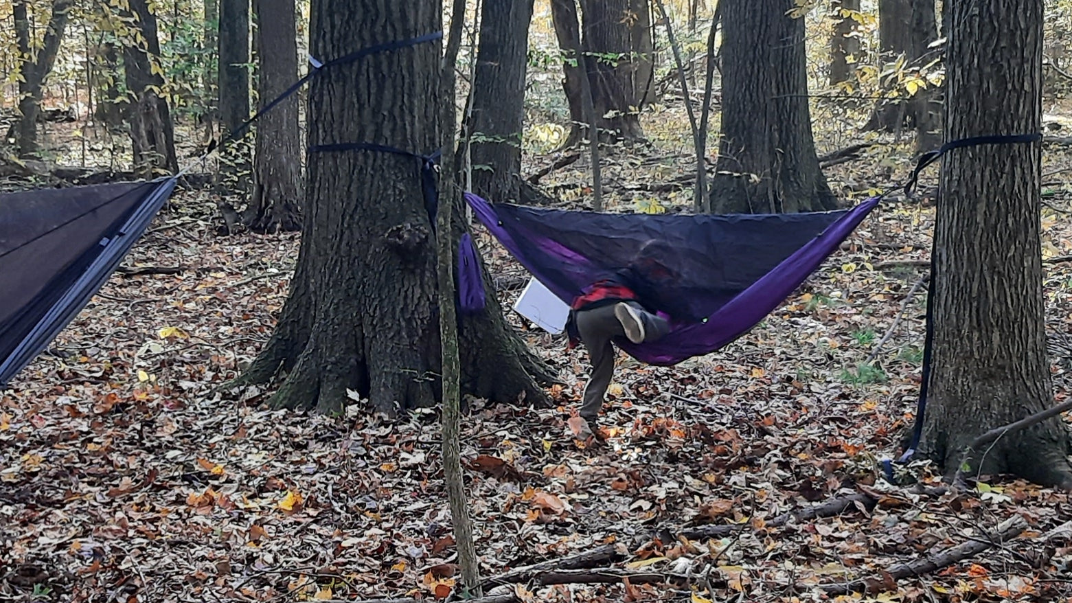 Chickadee Ready-to-Ship – Dream Hammock