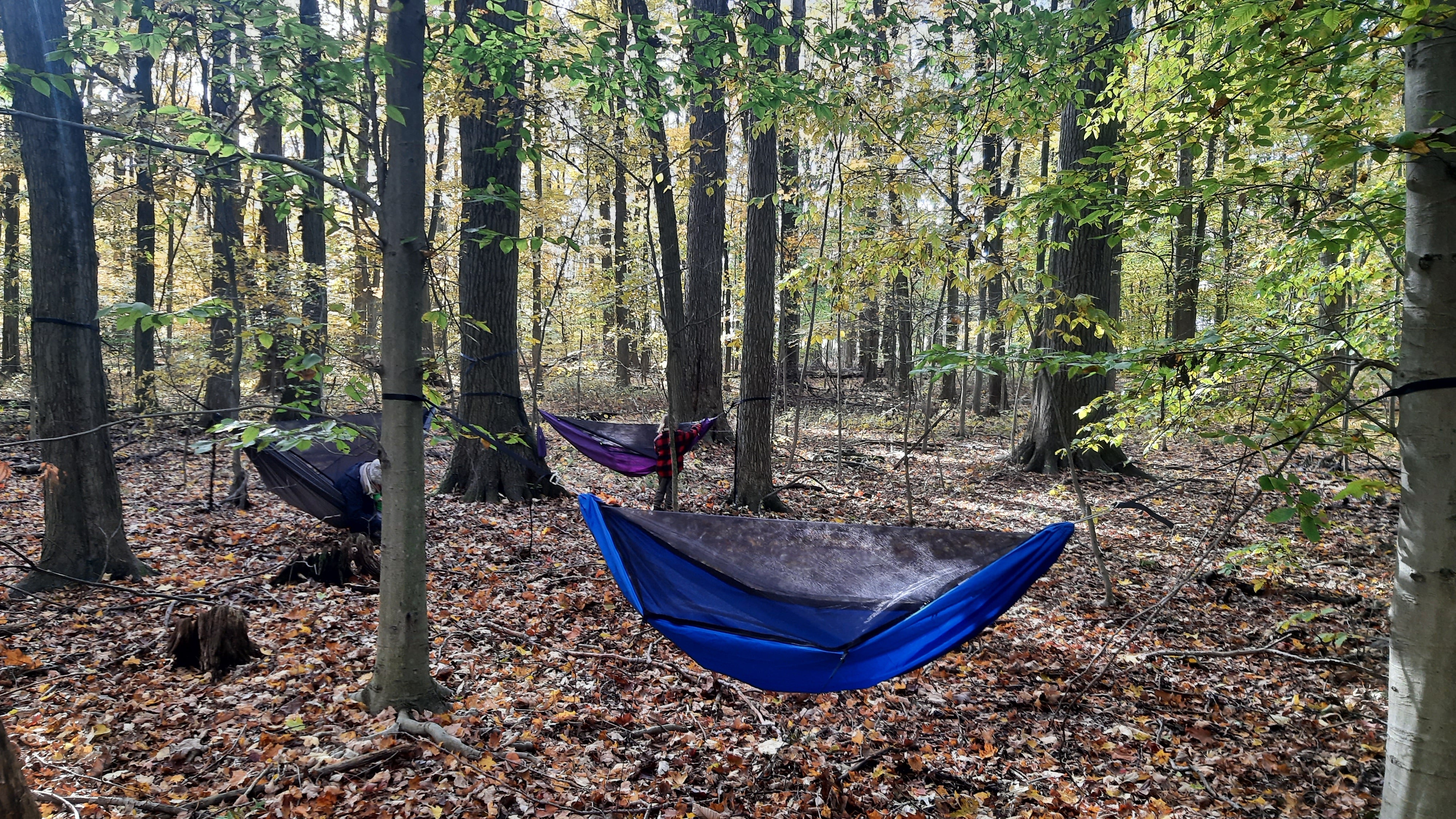 Chickadee Ready-to-Ship – Dream Hammock