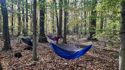 Chickadee Ready-to-Ship